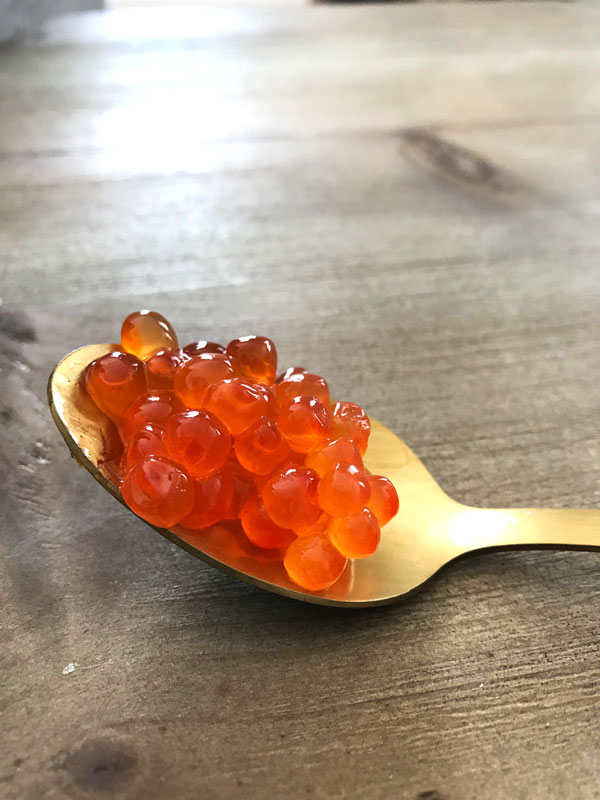 Salmon eggs as food 