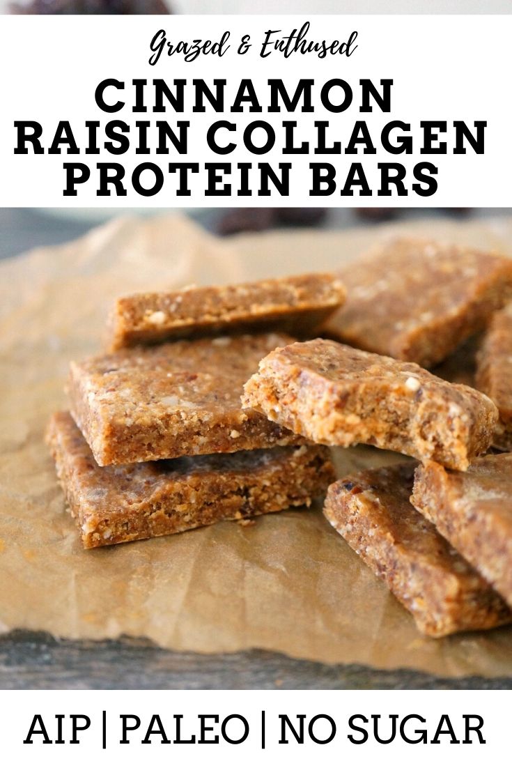 Cinnamon Raisin Protein Bars