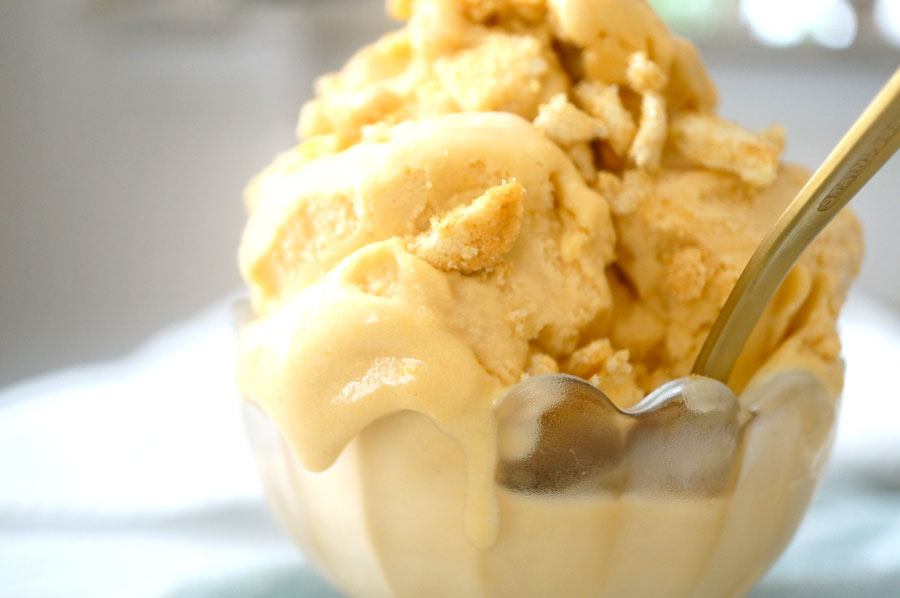 ginger cookie ice cream paleo vegan