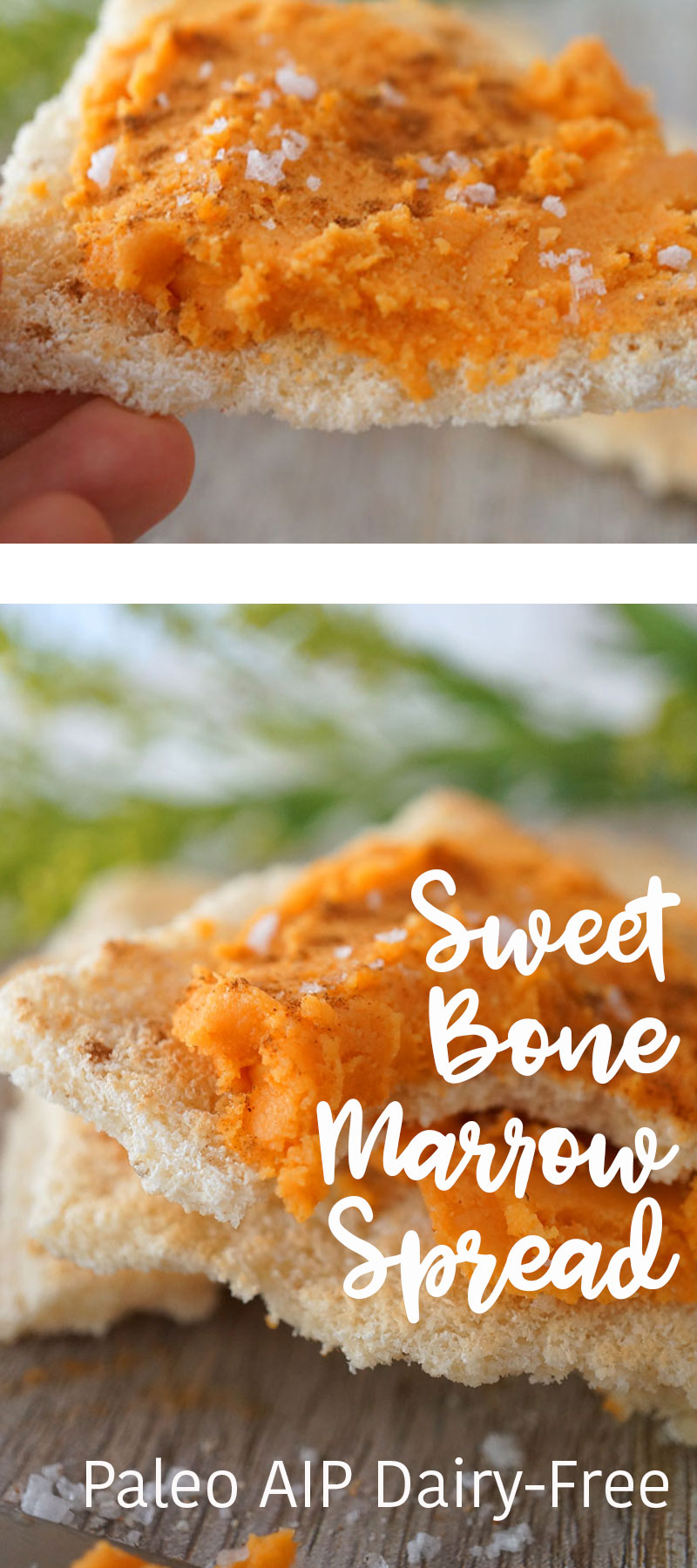 bone marrow paleo