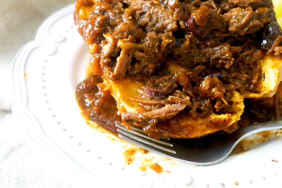 paleo ropa vieja nightshade-free aip