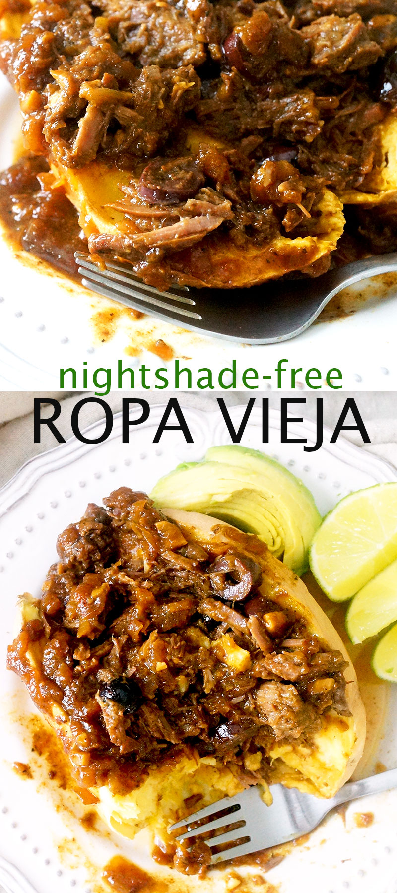 paleo ropa vieja nightshade-free aip