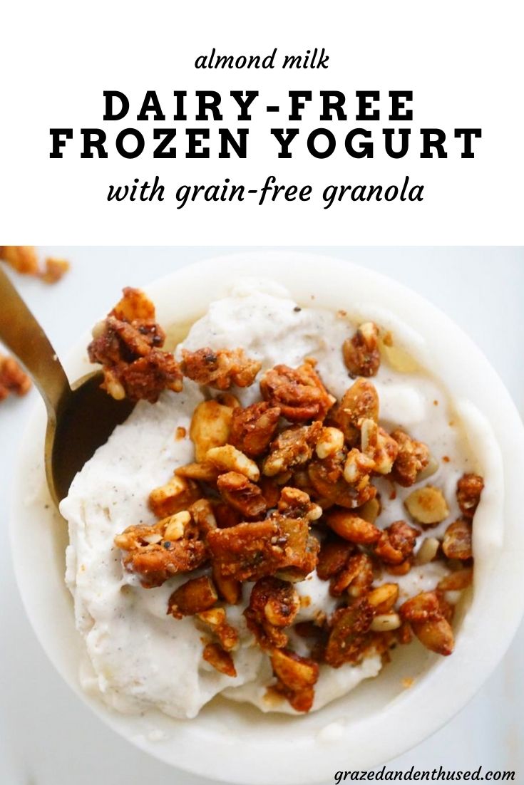 dairy-free frozen yogurt paleo