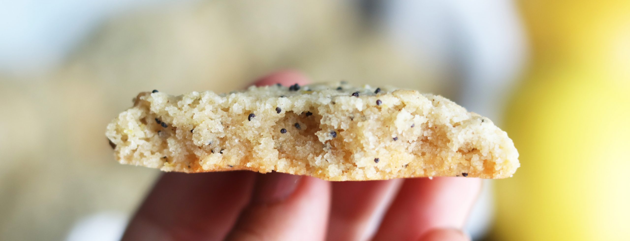 Gluten Free Lemon Poppy Seed Cookies