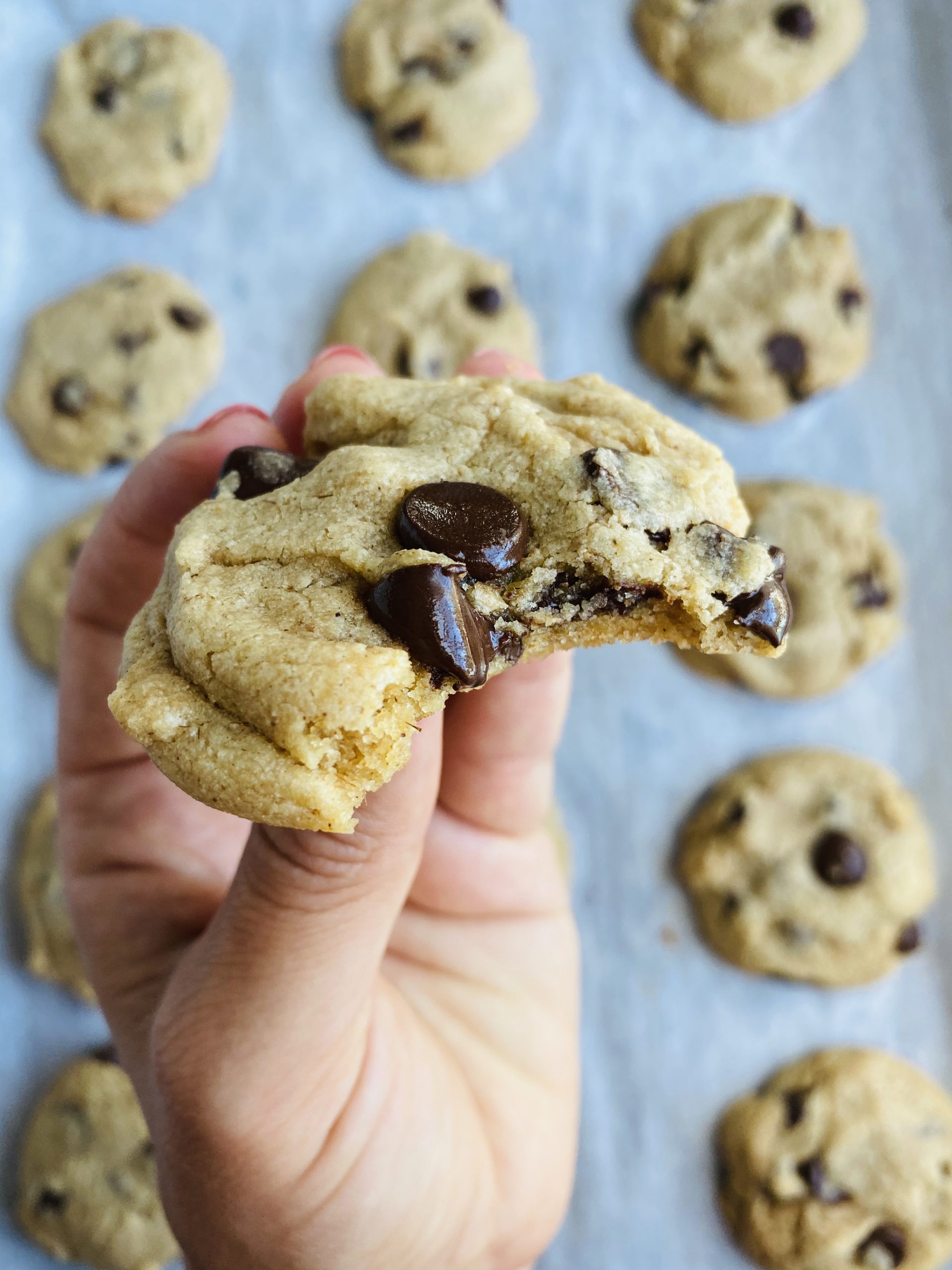 Allergen Friendly Cookie Mix