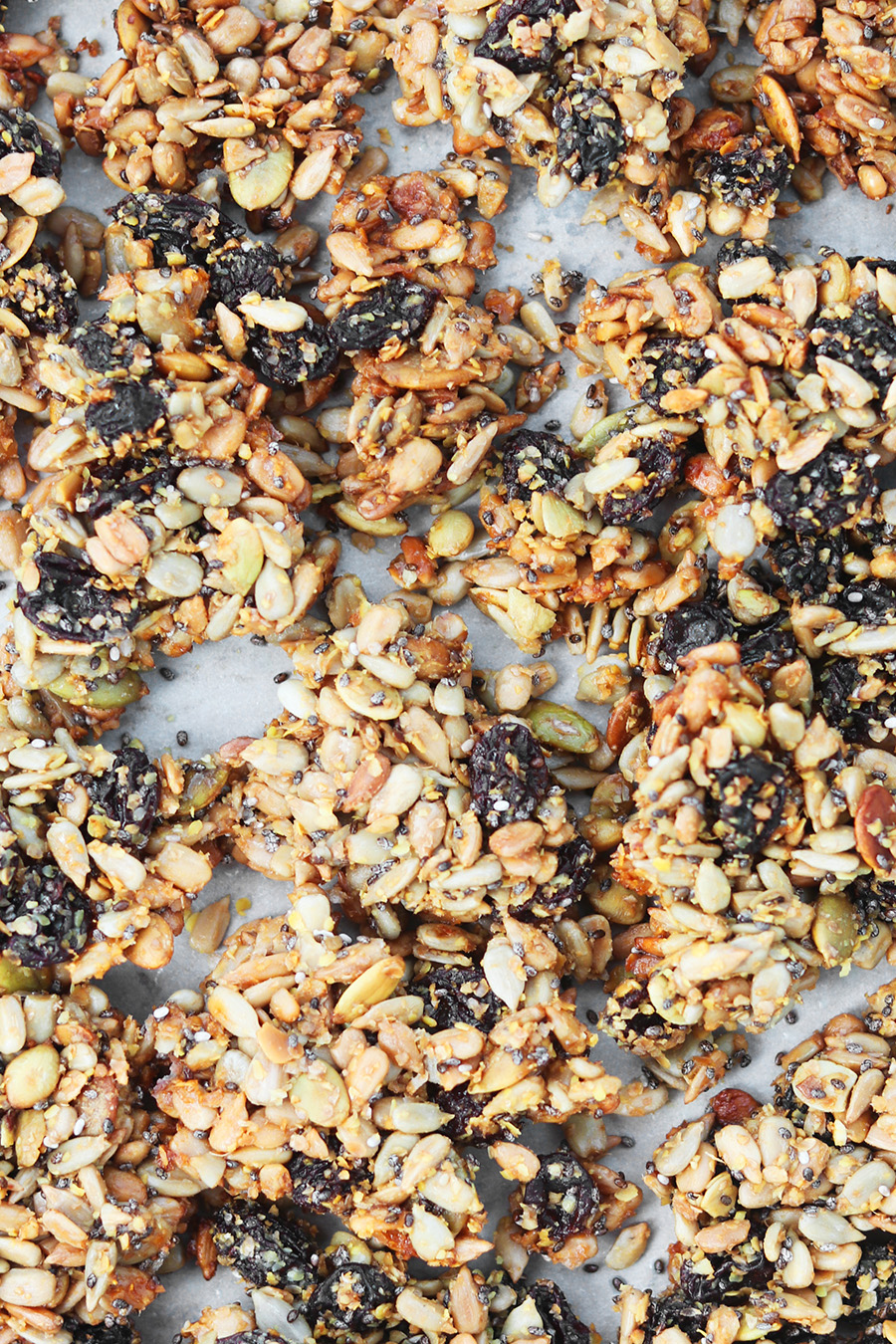 Nut Free Paleo Granola